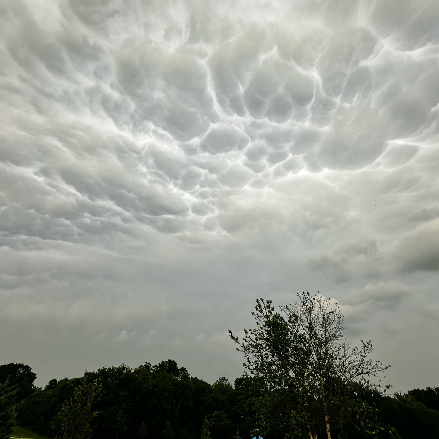 Powerful Storm Hits North Texas and Kills 2 as Thousands Remain Without Power