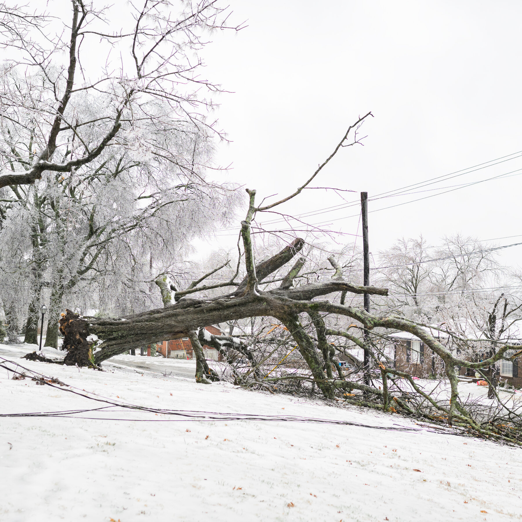 Winter Storm Debilitates the South, Encasing Cities in Ice and Snow