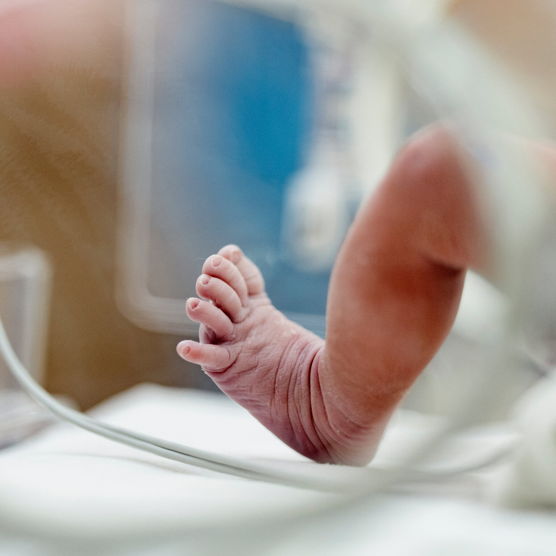 In Flint, Cash for Pregnant Women Leads to Better Outcomes for Babies