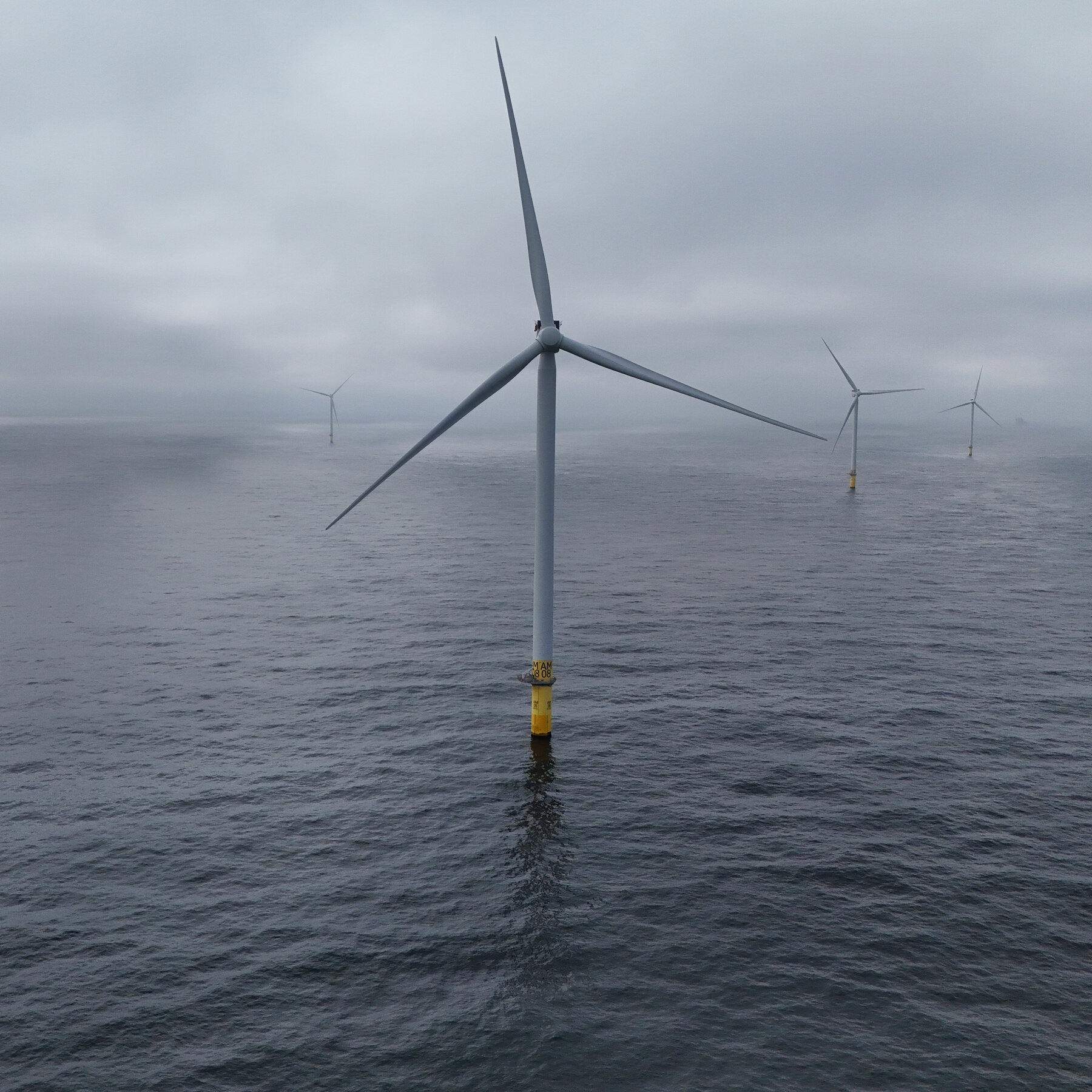 Trump Administration Will Pay to Cancel More Wind Farms