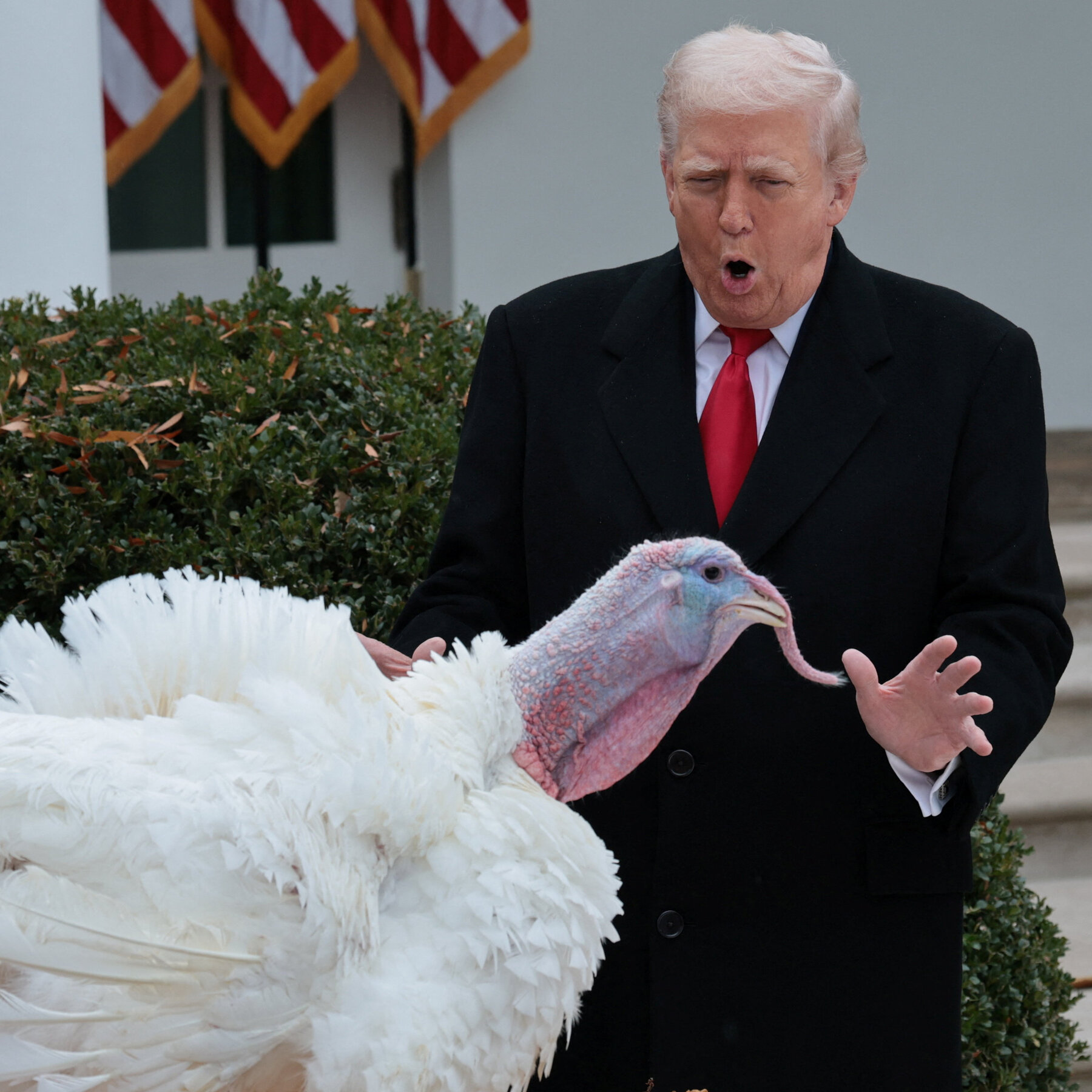 Trump’s Greedy Thanksgiving