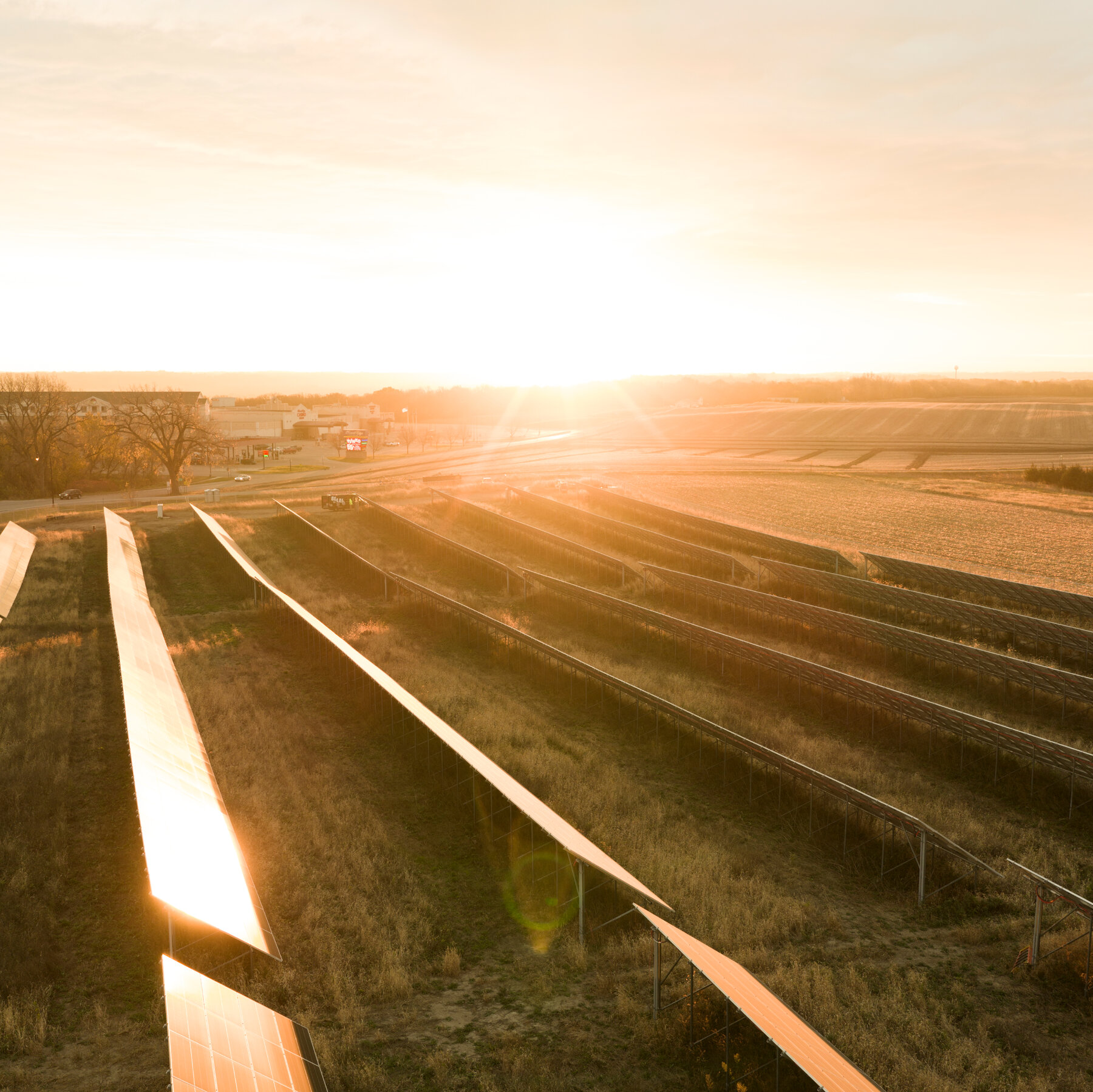 In Which I Try Valiantly to Cheer You Up