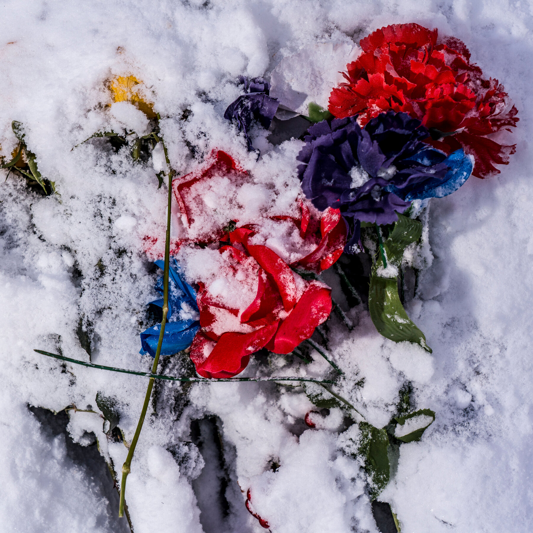 Trump’s Fantasies Are Killing Us