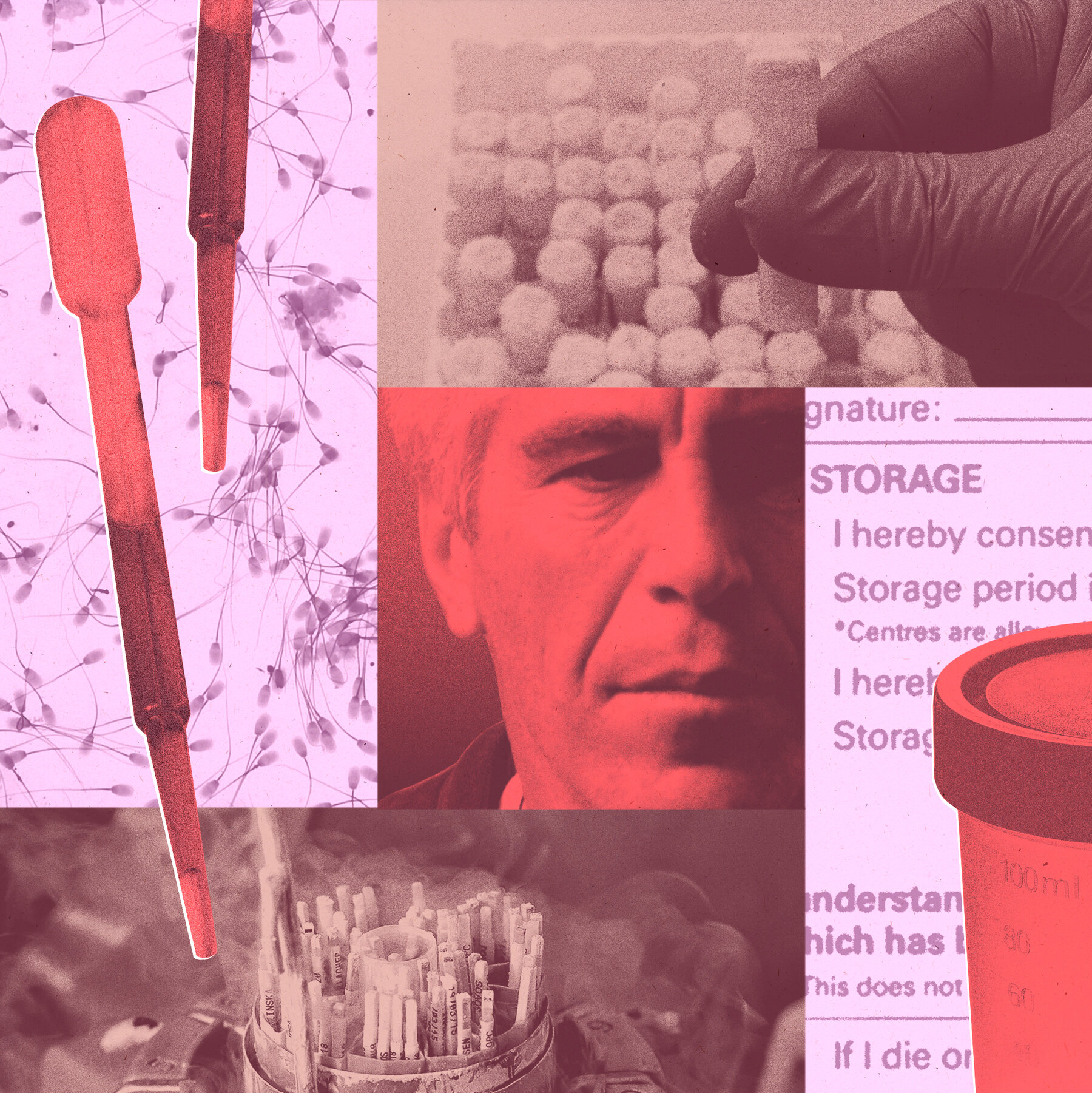 Jeffrey Epstein’s Sperm May Have Survived Him