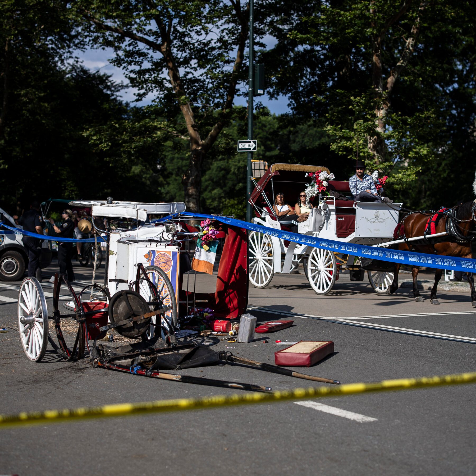 Central Park Horse-Drawn Carriage Rides Resume, as Push for Ban Intensifies
