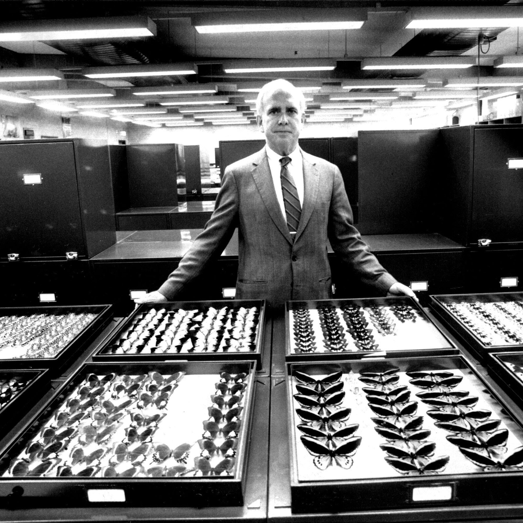 Peter Raven Dies at 89; Botanist Warned of Perils of Climate Change