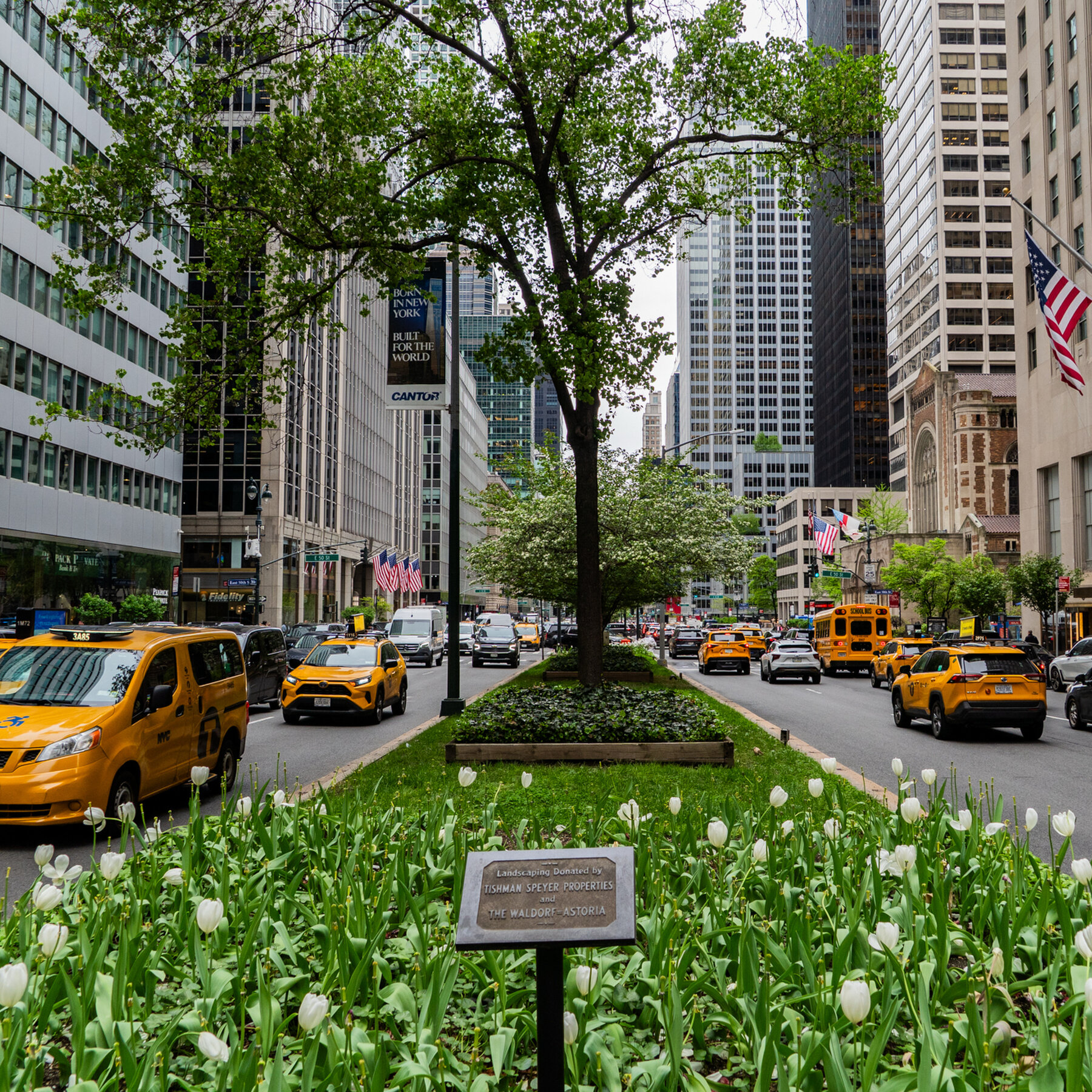 New York City Wants to Redesign Park Avenue. Here’s How It Might Look.