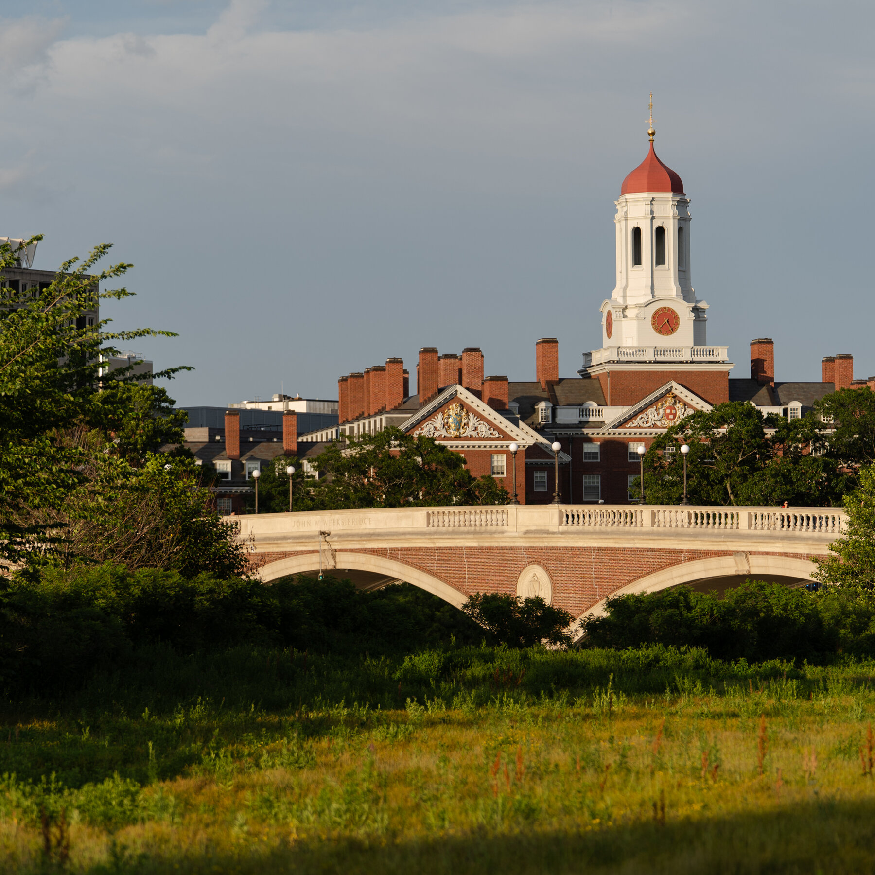 A Solution for Too Many A’s? Harvard Considers Giving A-Pluses