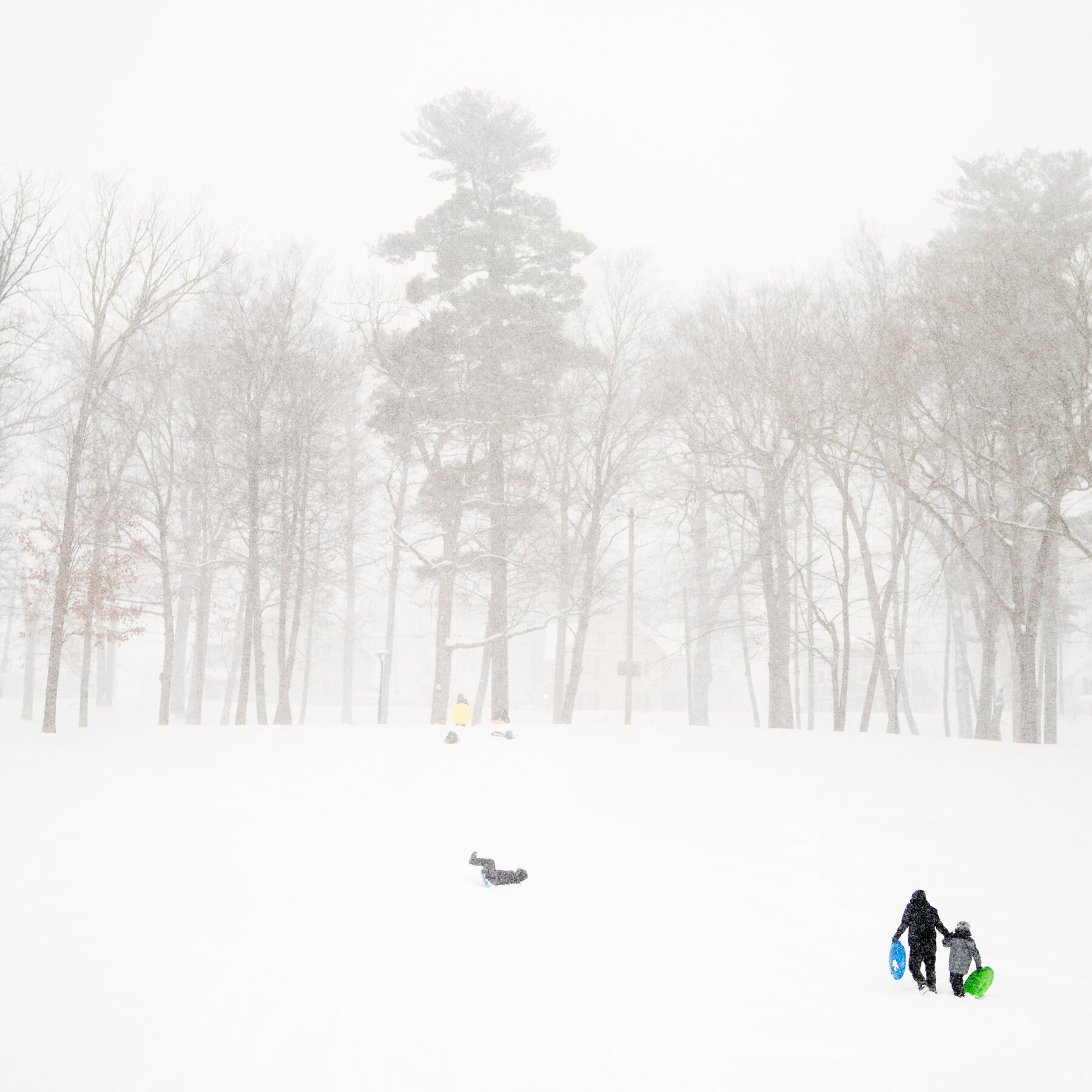 Winter Storm Forecast to Bring Deep Snow to the Carolinas and Virginia
