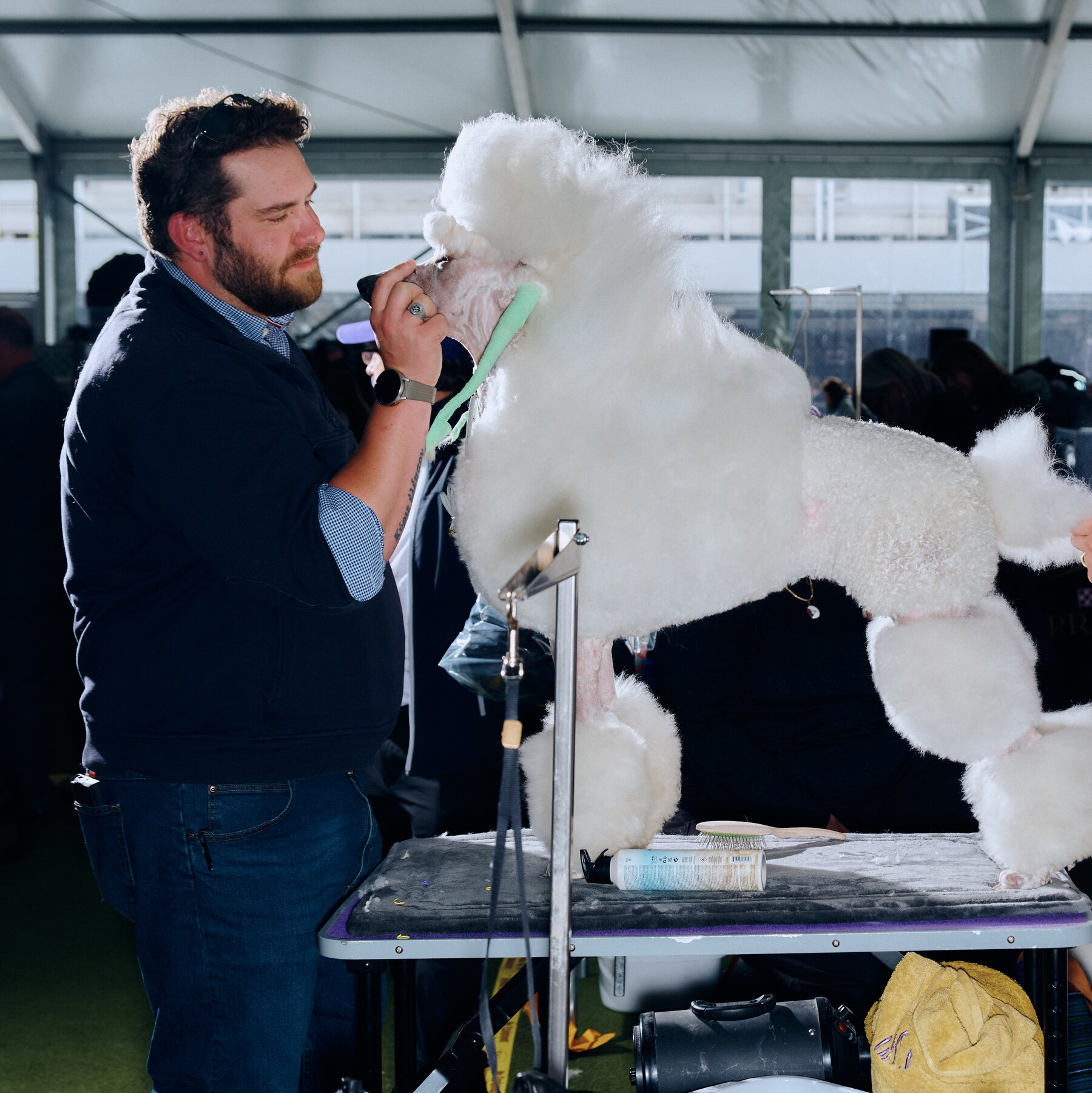 Pet Owners, How Do You Deal With the High Costs of Grooming?