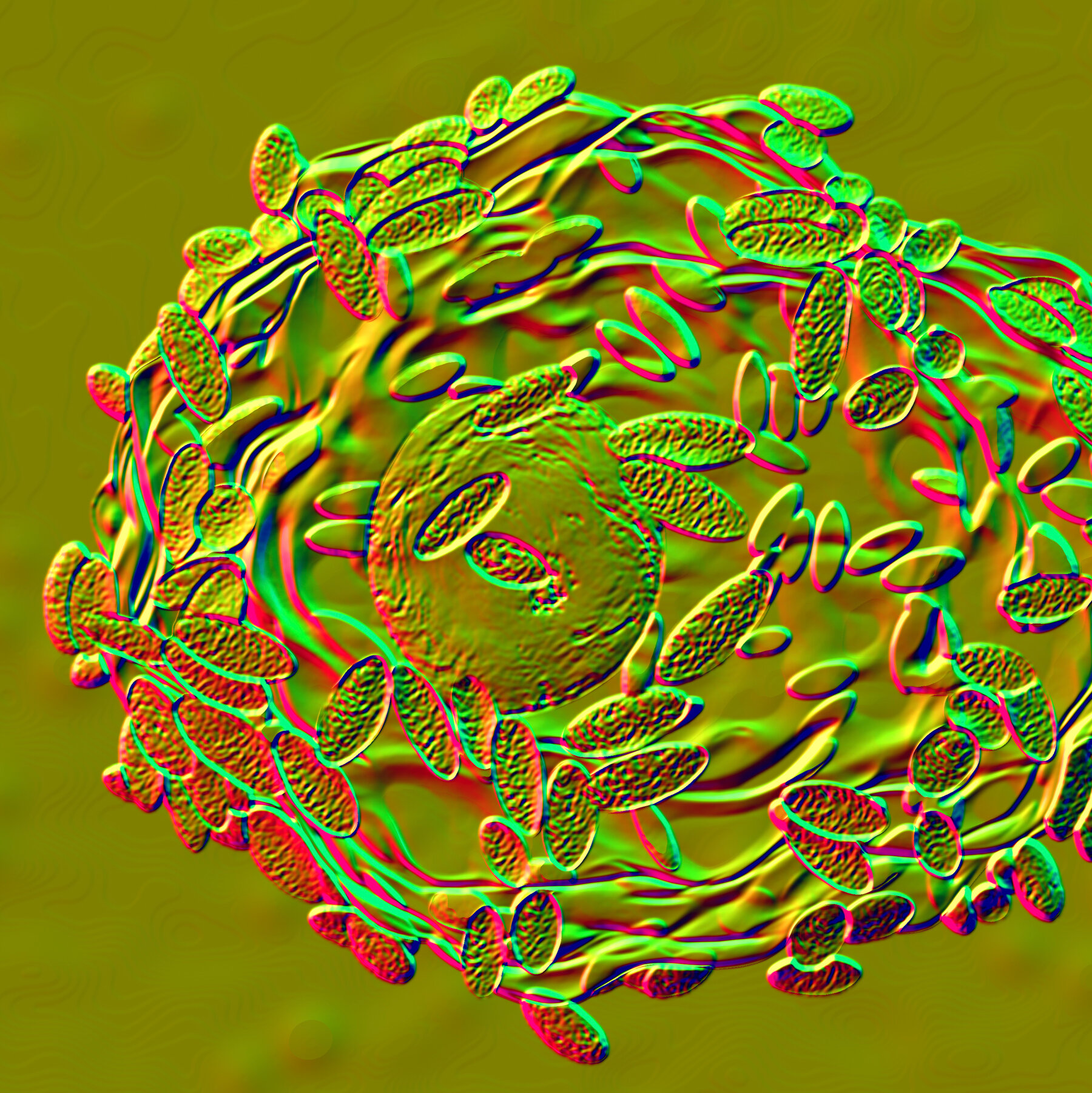 So You Have Bacterial Vaginosis. What Do You Do Now?