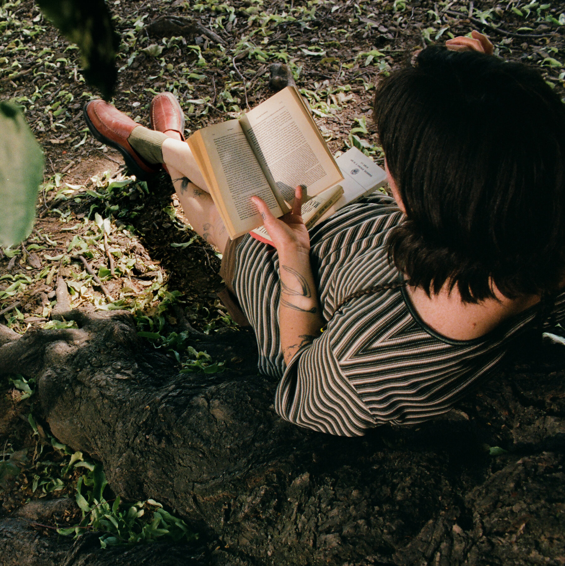 How to Make Americans Read Again