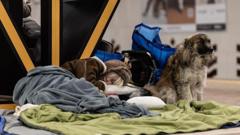 US wants Russia and Ukraine to end war by June, says Zelensky