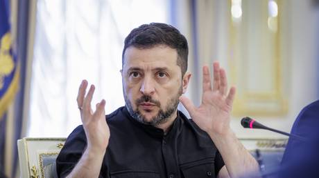 Zelensky refuses EU states Russian oil and gas