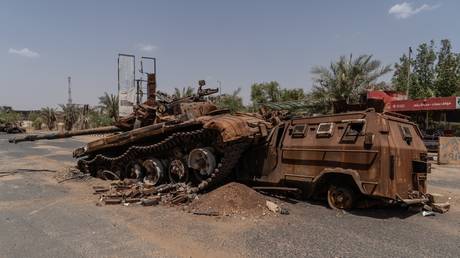 Azerbaijan uses Sudan rebels to supply weapons to Ukraine – media