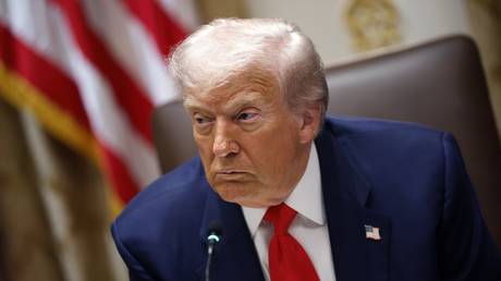 Trump pushing EU to slap 500% tariffs on China – media