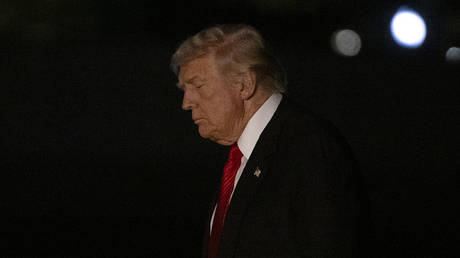 Trump privately backs steep tariffs on Russia’s trade partners – US senator