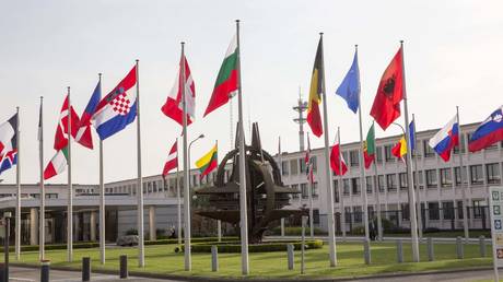 NATO nations warn of ‘dangerous spiral’ after Trump’s Greenland threat