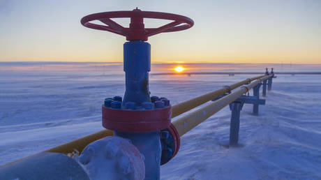 EU green-lights ban on Russian gas despite energy security fears 