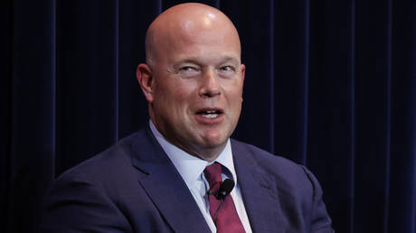 European NATO members are ‘kids’ – US envoy