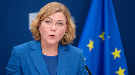 EU calls for offensive cyber capabilities
