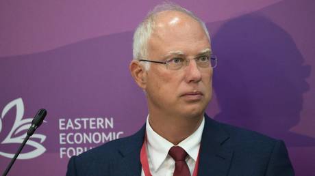 EU ‘at end of queue’ for Russian energy – Putin envoy
