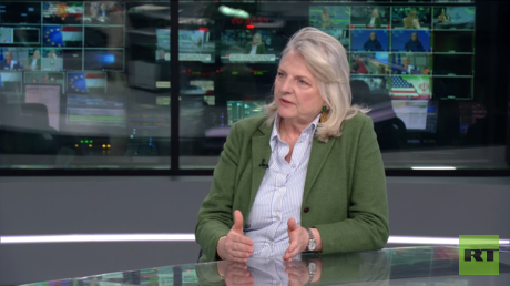 Hungary election a US-EU ‘proxy war’ – ex-Austrian foreign minister