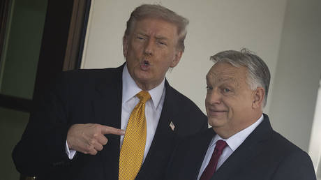 ‘Get out and vote for Orban’ – Trump tells Hungarians