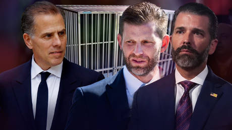 Hunter Biden challenges Trump’s sons to a ‘cage match’ (VIDEO)