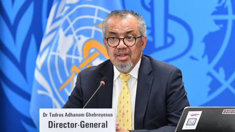 WHO chief dismisses ‘another Covid’ fears over hantavirus plague ship