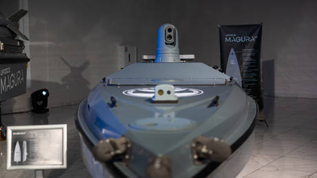 NATO member asks Ukraine to add self-destruct function to stray drones