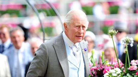 Support for UK monarchy hits record low – poll