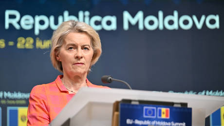 Von der Leyen investigated over secret group chat with Zelensky – media