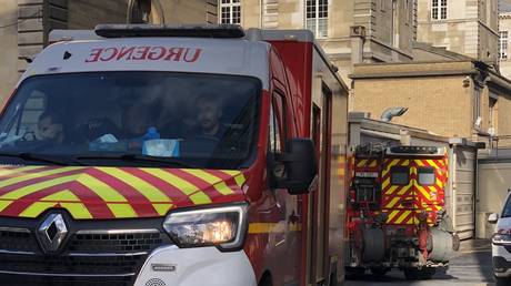 Heatwave causes 1,000 excess deaths in France
