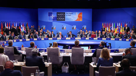 Italy blocking NATO pledge to Ukraine – media