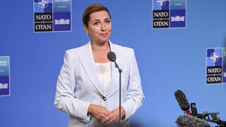 Denmark expects NATO to defend Greenland from ‘erstwhile friend’ US