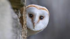 Wildlife to replace historical figures on banknotes - and you get a say