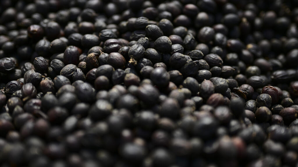 Trump eases tariffs on Brazilian food again in push to curb US price pressures