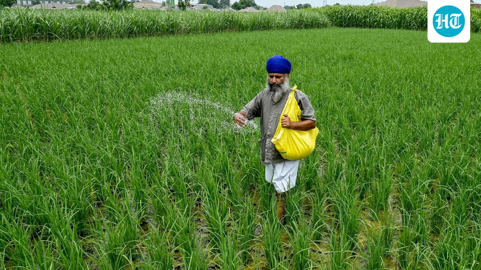 Government sees surge in subsidies, but no hit to growth