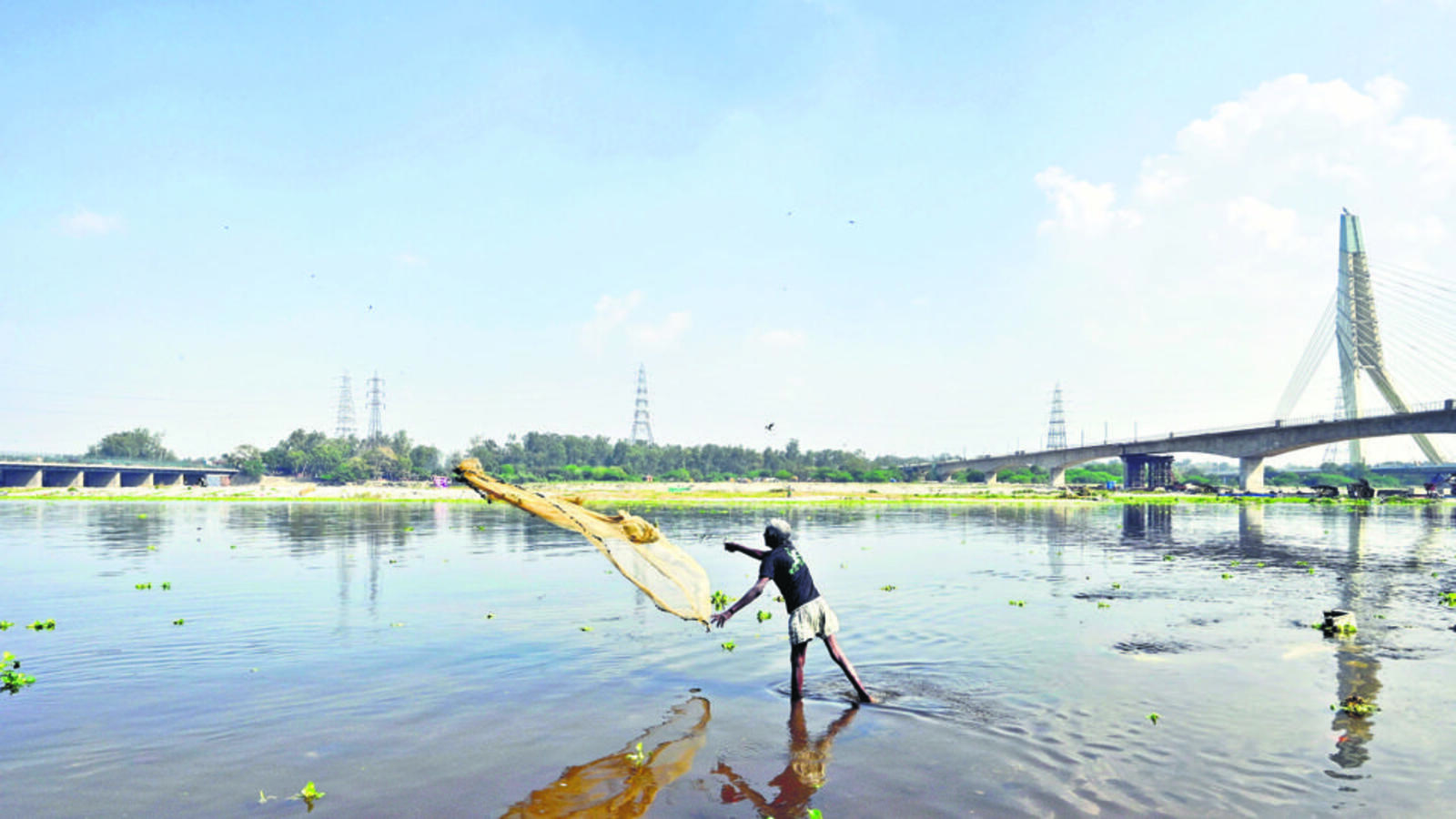 Where the Yamuna still has signs of life