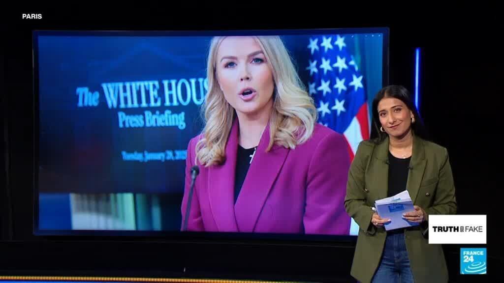 Yes, ICE arrested the mother of Karoline Leavitt’s nephew