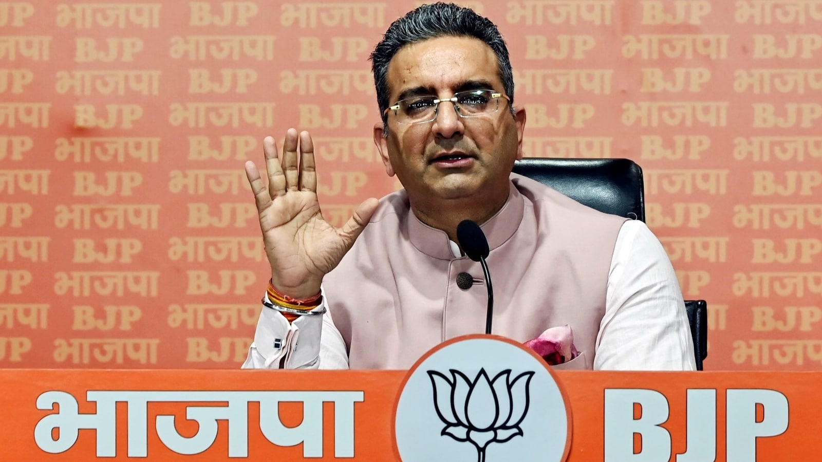 ‘Rahul-Jinnah party’: BJP on Congress's objections to NCERT's partition module