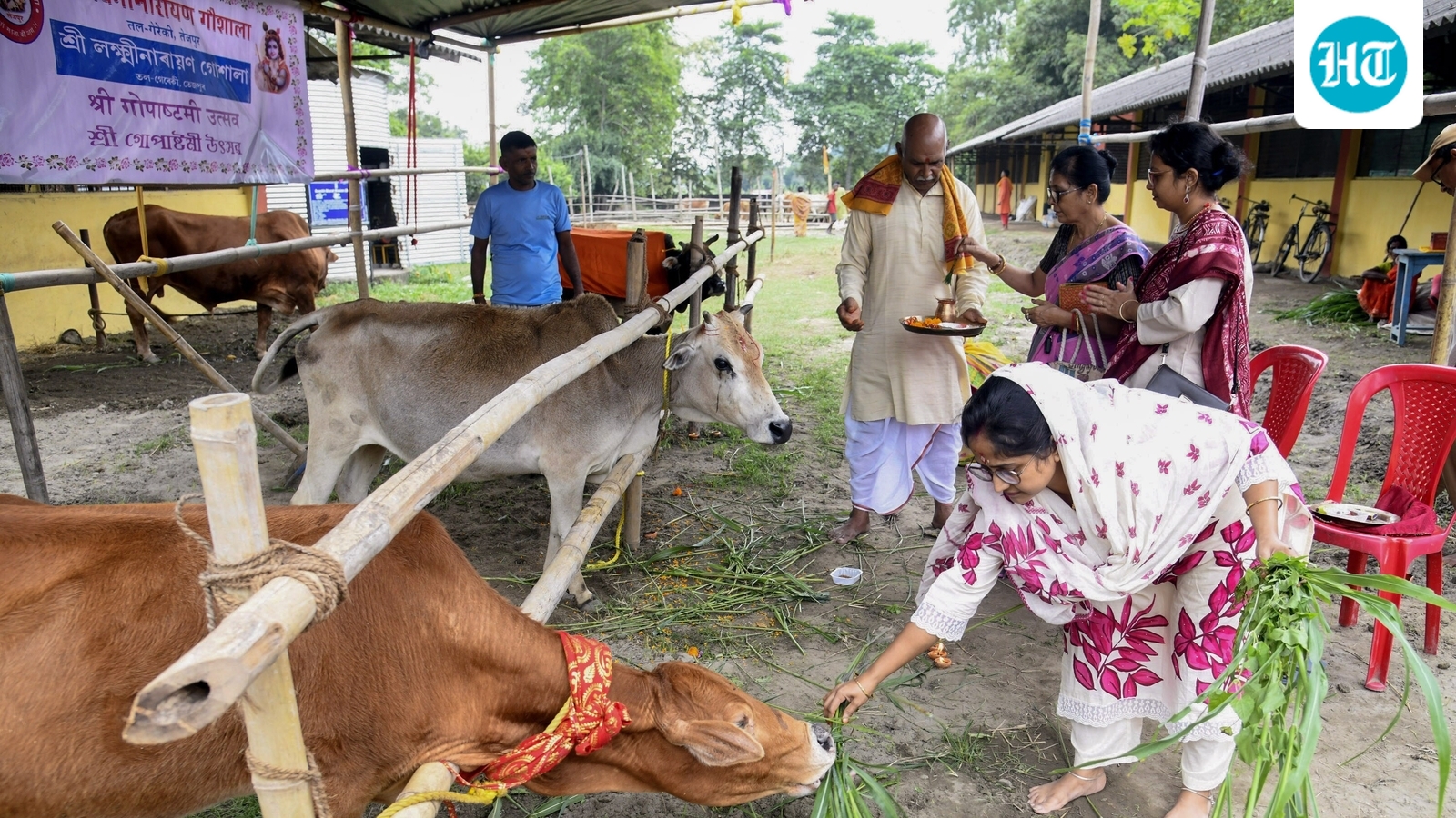 UP: Wanted cow smuggler with Rs. 25,000 reward injured in police encounter in Mathura