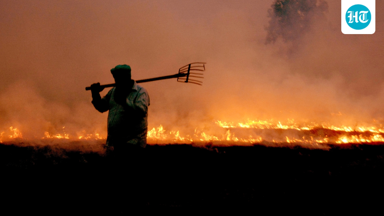 Why FIRs over farm fires in Punjab go nowhere: Political hot potato, explained