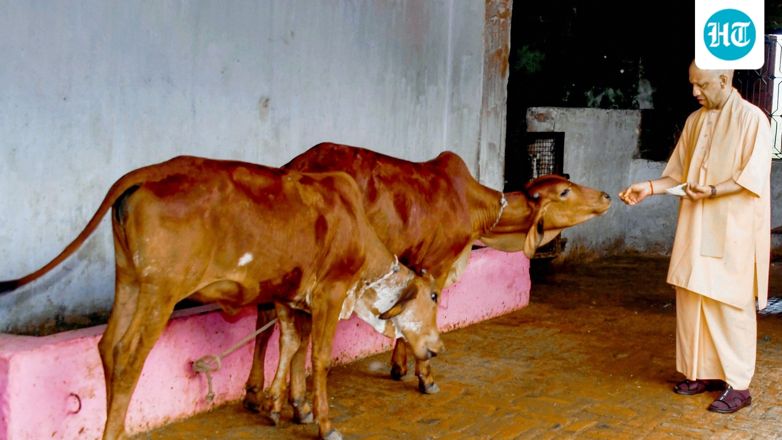 UP govt to honour contributors to cow protection; CM Yogi Adityanath orders fodder banks in all shelters
