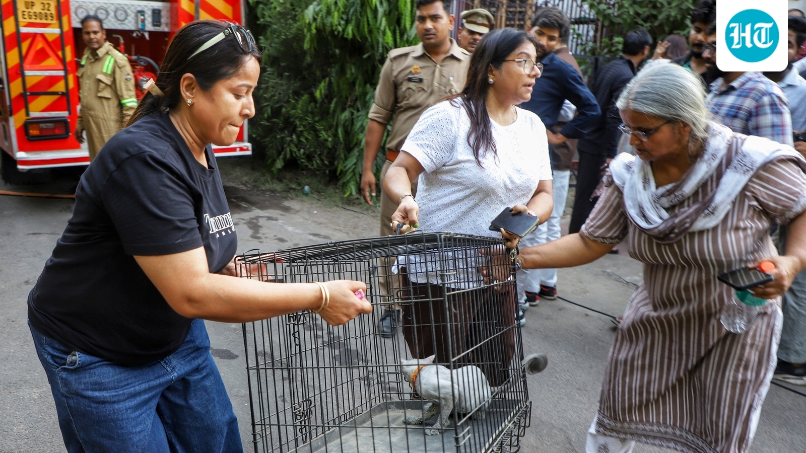 Over 30 dogs and cats rescued from pet facility in Lucknow fire