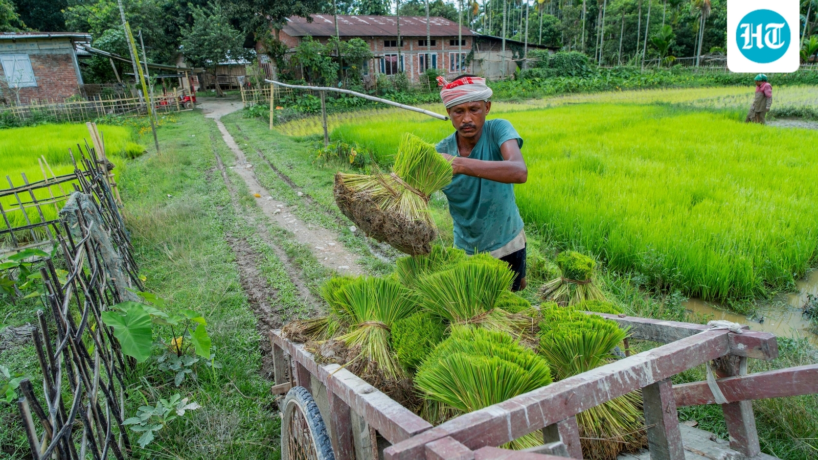 Kharif crops: You reap what you sow — unless the monsoon has other plans