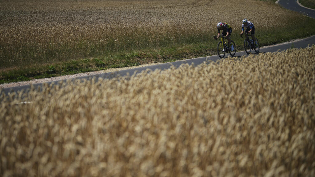 ‘Public health time bomb’: How France allowed cadmium to poison its crops and soil