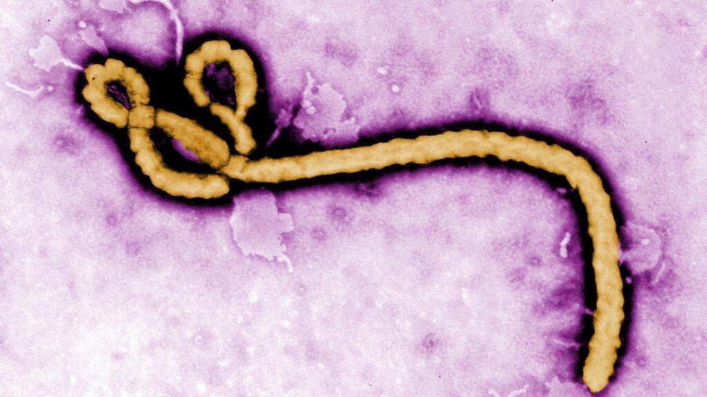 France's first detected Ebola patient recovers, leaves hospital