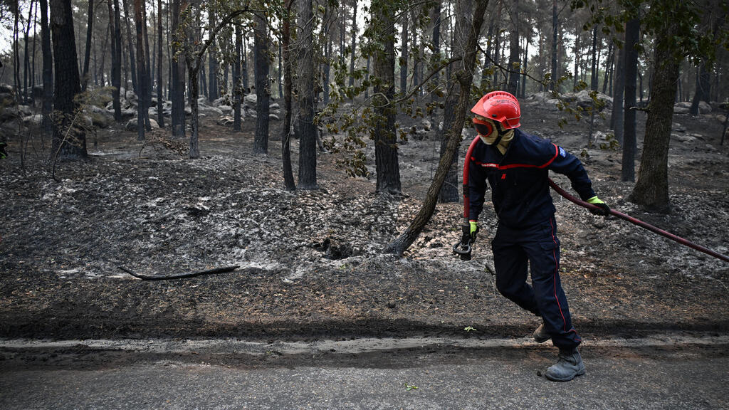 As the smoke clears, the Fontainebleau forest takes stock of its destruction